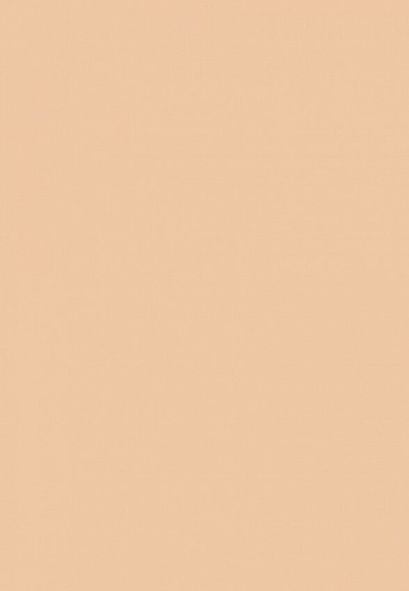 Тональная основа MAC