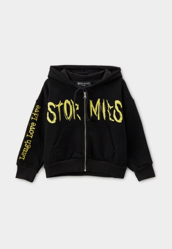 Толстовка Stormies