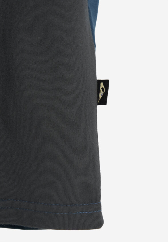 Футболка мужская Quiksilver Global Heat Color Block, Серый