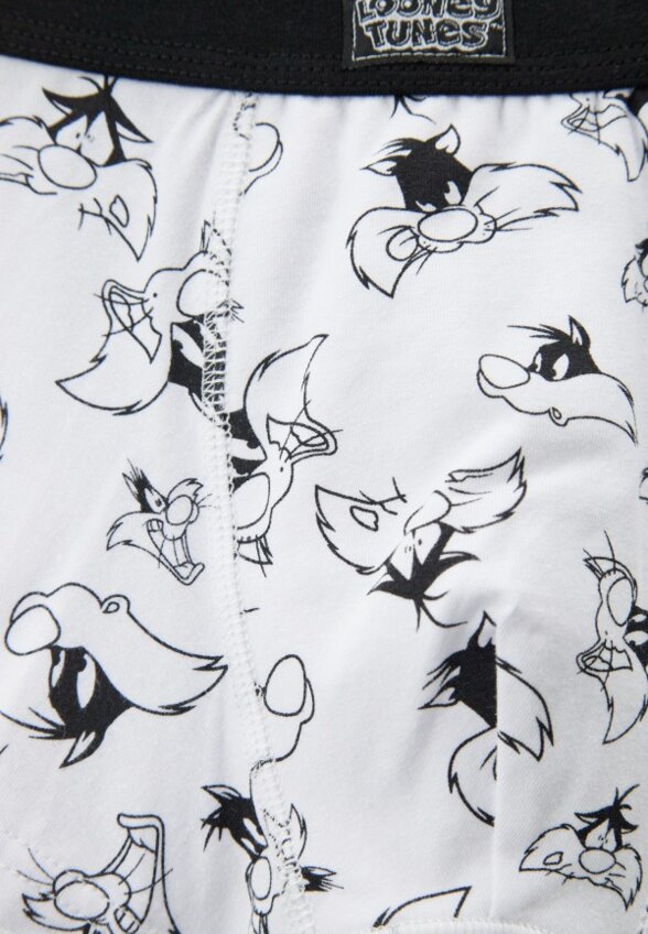 Трусы 2 шт. PlayToday