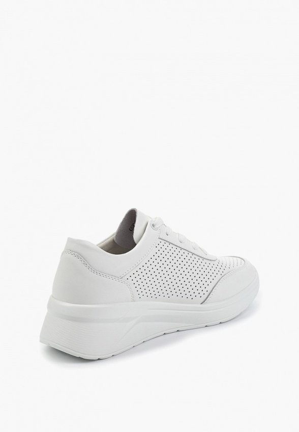 Кроссовки Francesco Donni