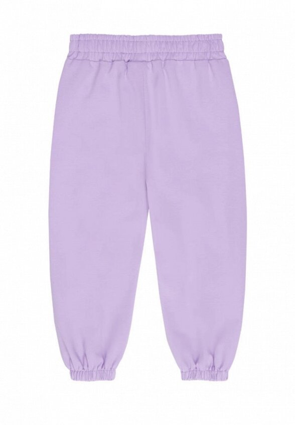 Брюки спортивные Bossa Nova