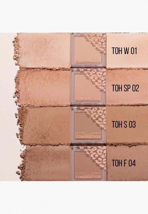 Пудра компактная Stellary