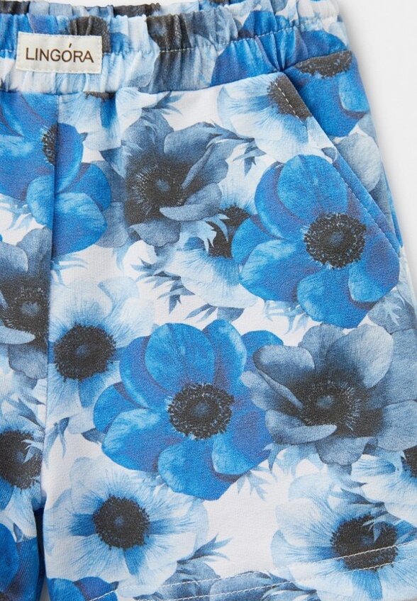 Шорты спортивные Lingora