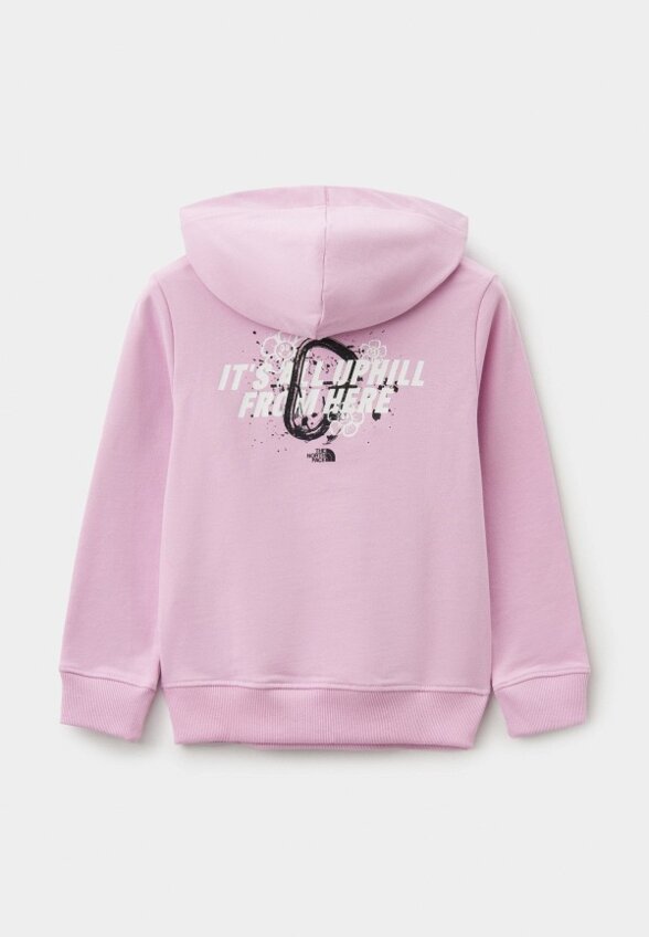 Худи The North Face