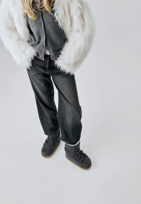 Луноходы Wysh