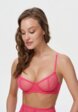 Бюстгальтер, пояс и трусы Amazonka Underwear6  - превью