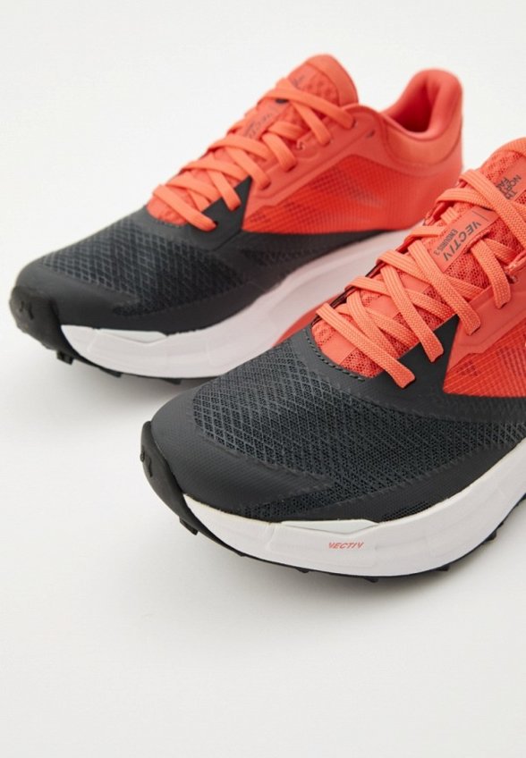 Кроссовки The North Face