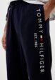 Брюки спортивные Tommy Hilfiger4  - превью