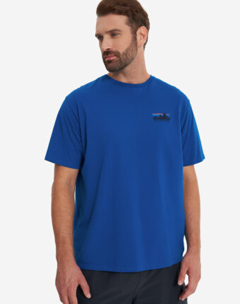 Футболка мужская Patagonia Skyline Organic, Синий женщинам