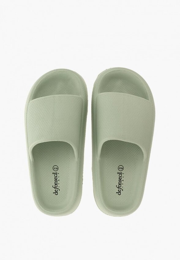 Сланцы De Fonseca