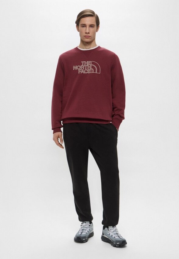 Свитшот The North Face