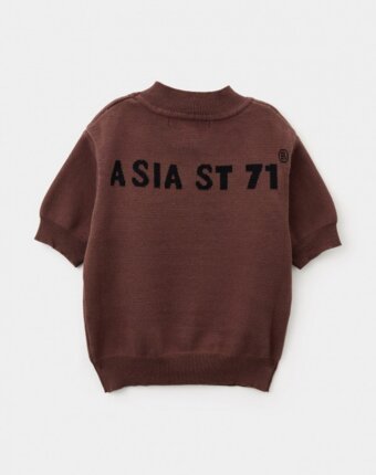 Джемпер Asia st 71 мужчинам