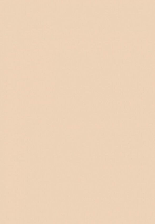 Пудра компактная Dabo