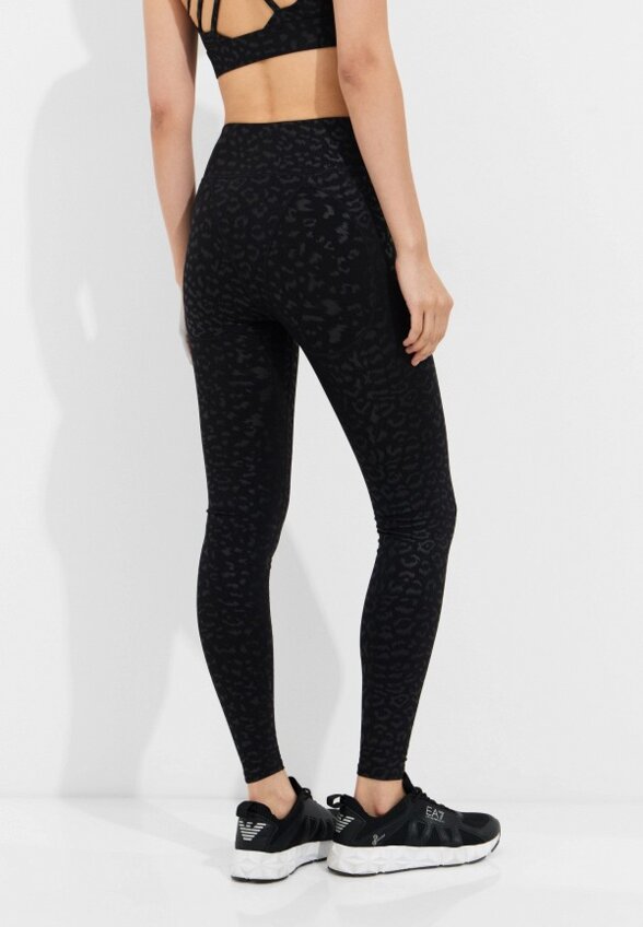 Тайтсы Plein Sport