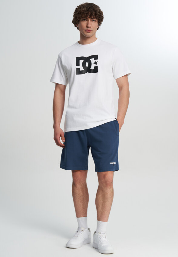 Футболка мужская DC Shoes Star, Белый