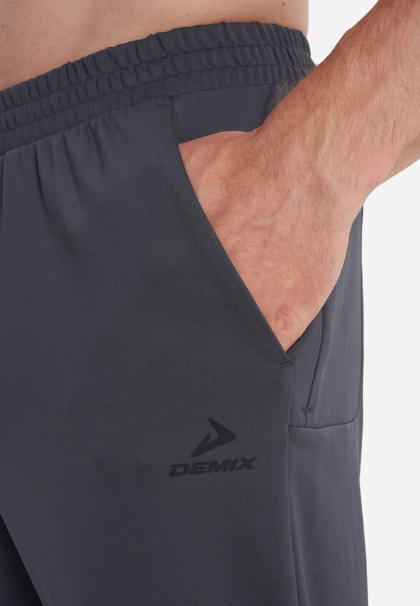 Брюки мужские Demix, Серый