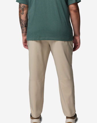 Брюки мужские Columbia Sage Peak Chino Pant, Бежевый женщинам
