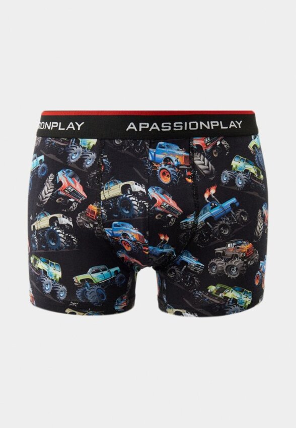 Трусы A Passion Play