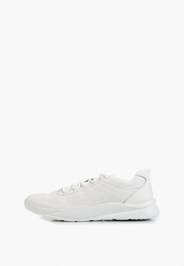 Кроссовки Strobbs