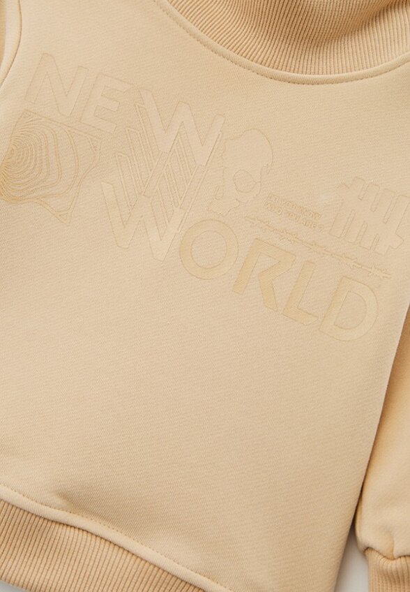 Свитшот Choupette