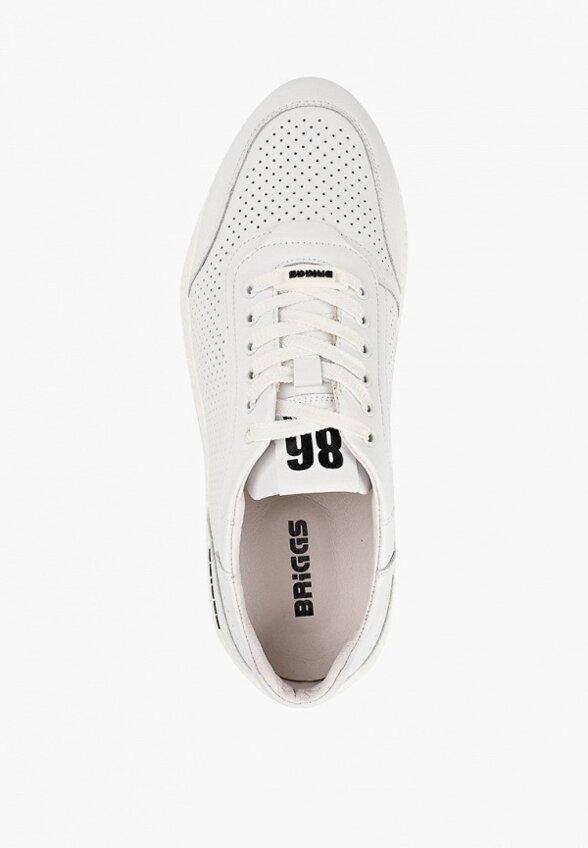 Кроссовки Briggs