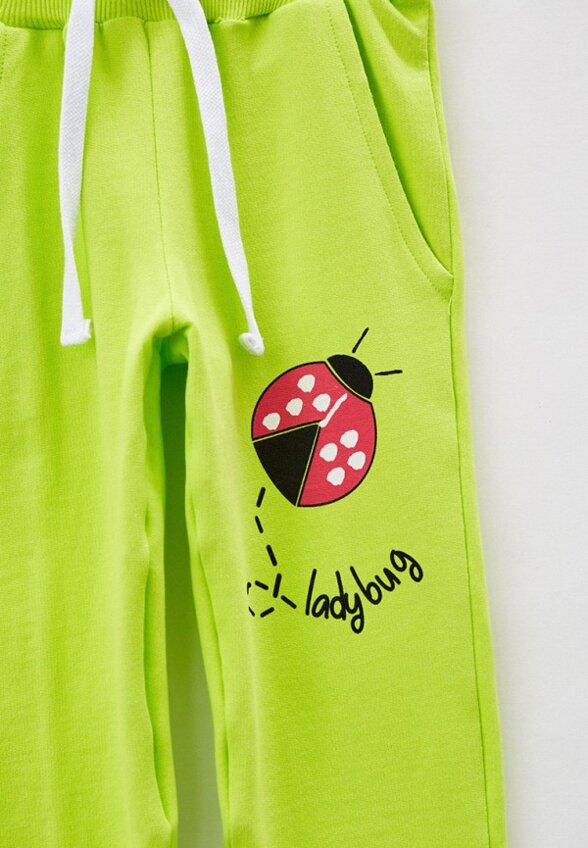 Брюки спортивные Elementarno