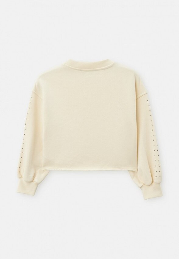 Свитшот Iceberg