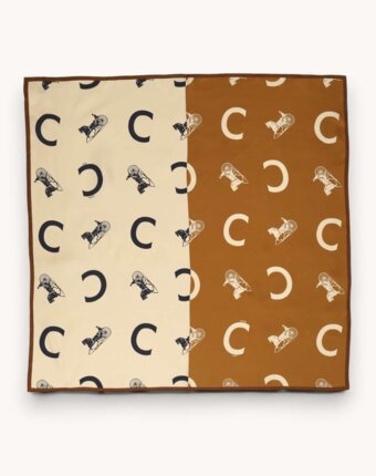 Celine Silk Scarf женщинам