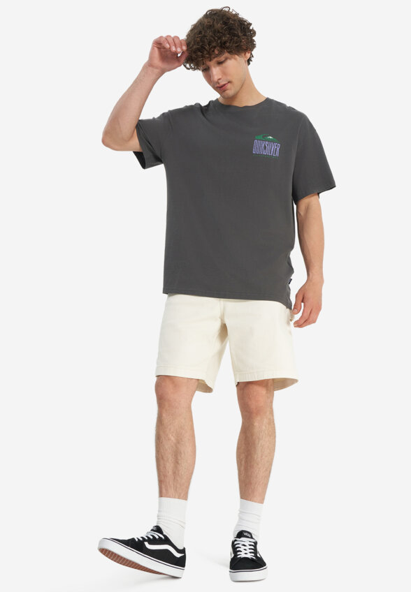 Футболка мужская оверсайз Quiksilver World Force, Серый