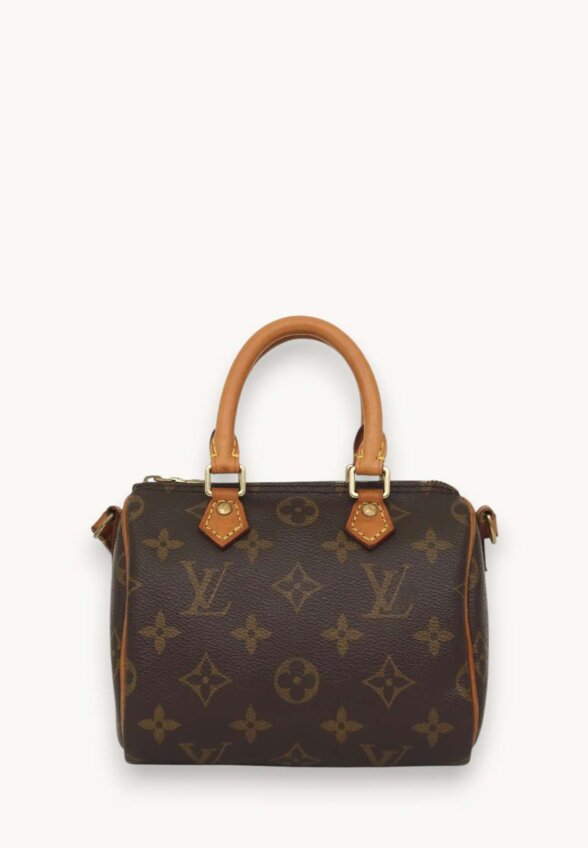 Louis Vuitton Speedy