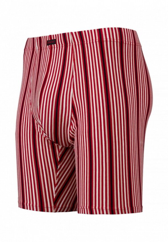 Трусы Lowry Collection