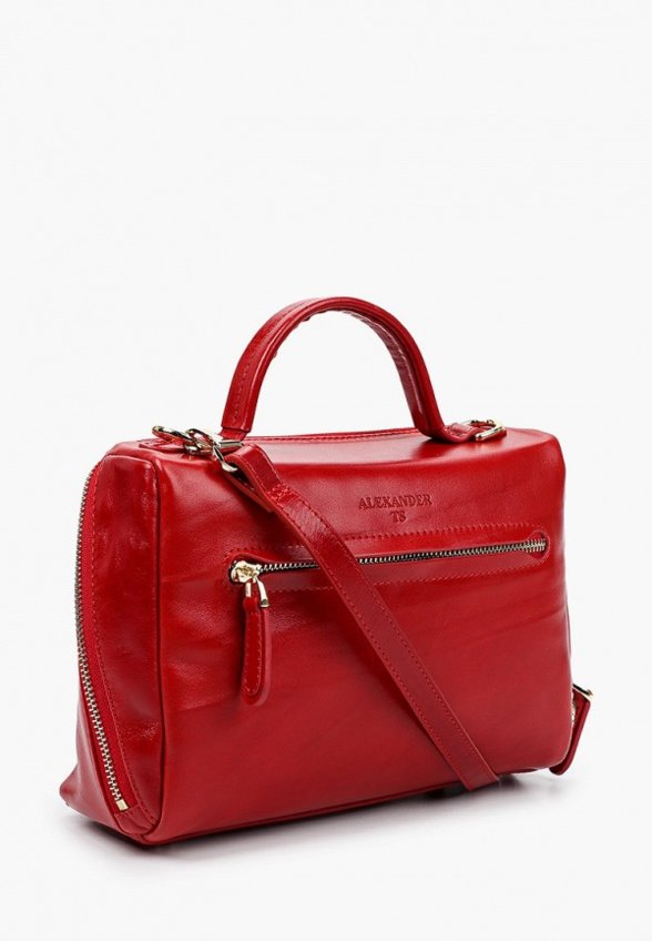 Сумка Alexander Tsiselsky