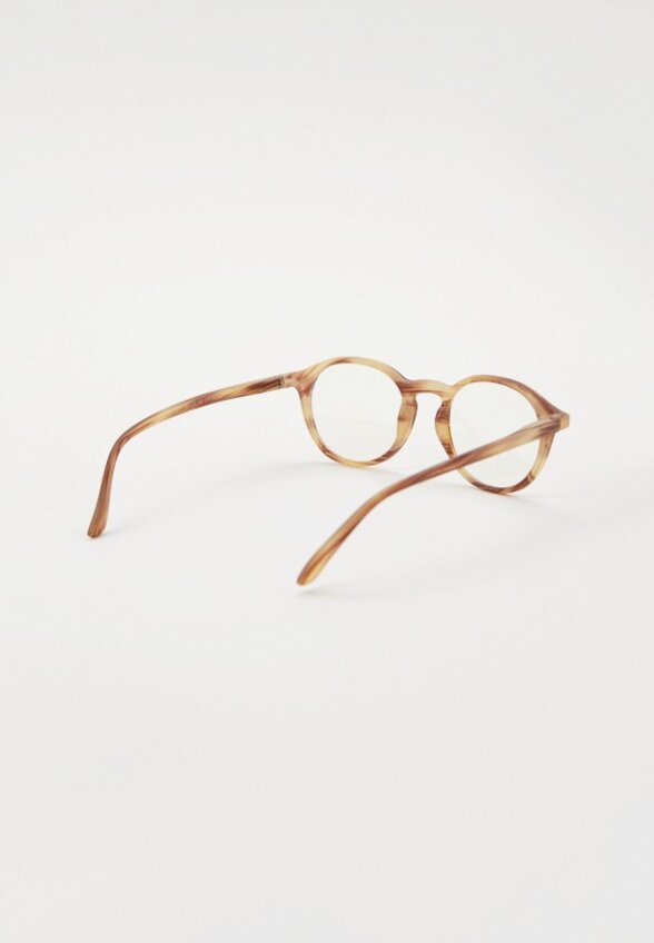 Очки для компьютера Lectio Risus