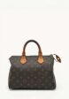Louis Vuitton Speedy1  - превью