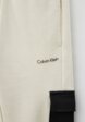Брюки спортивные Calvin Klein Jeans3  - превью