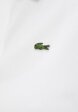 Поло Lacoste3  - превью