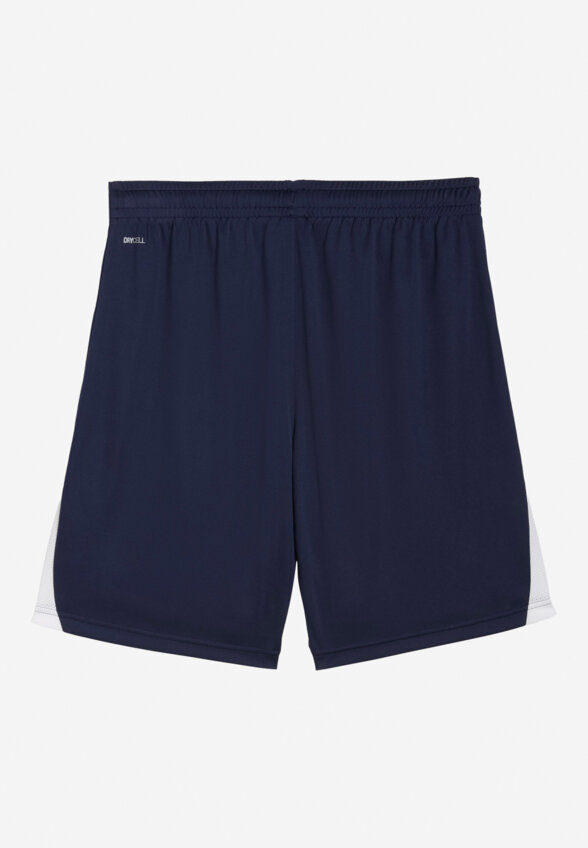 Шорты мужские PUMA Teamliga26, Синий