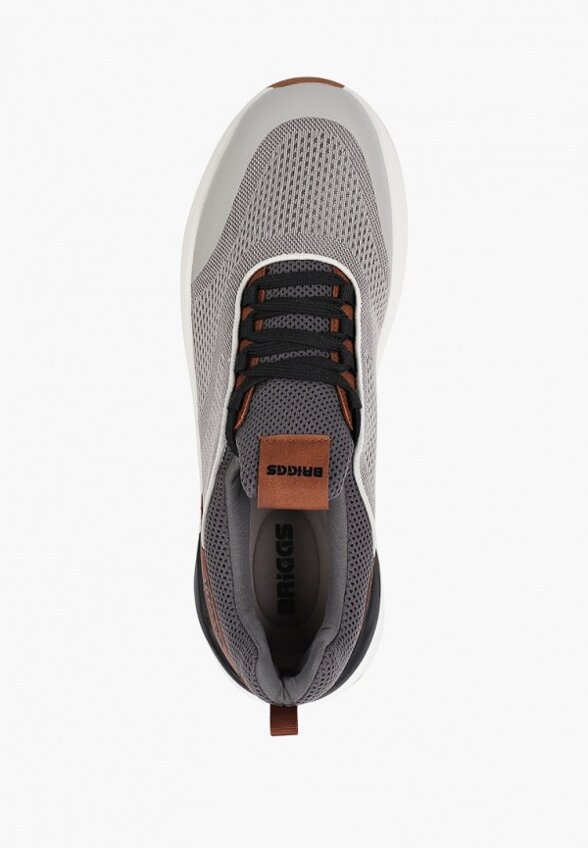 Кроссовки Briggs