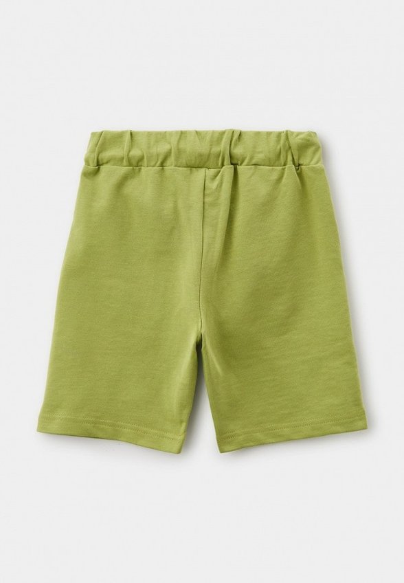 Шорты спортивные Aspen Polo Club