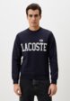 Свитшот Lacoste1  - превью