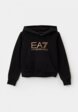 Худи EA71  - превью
