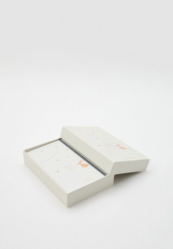 Ежедневник и блокнот Moleskine