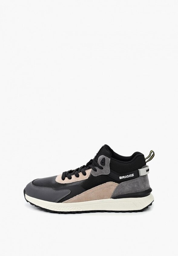 Кроссовки Briggs