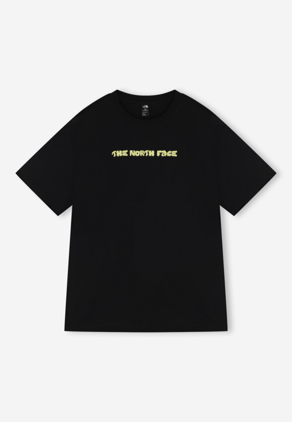 Футболка мужская The North Face Logo Twist, Черный
