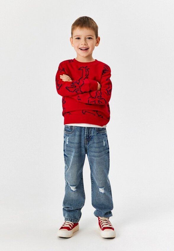 Свитшот Acoola