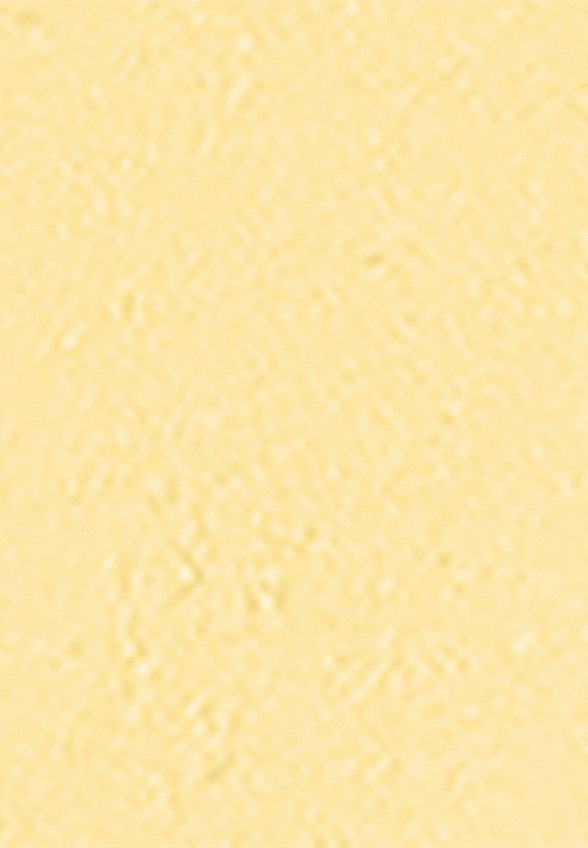 Пудра компактная Nouba