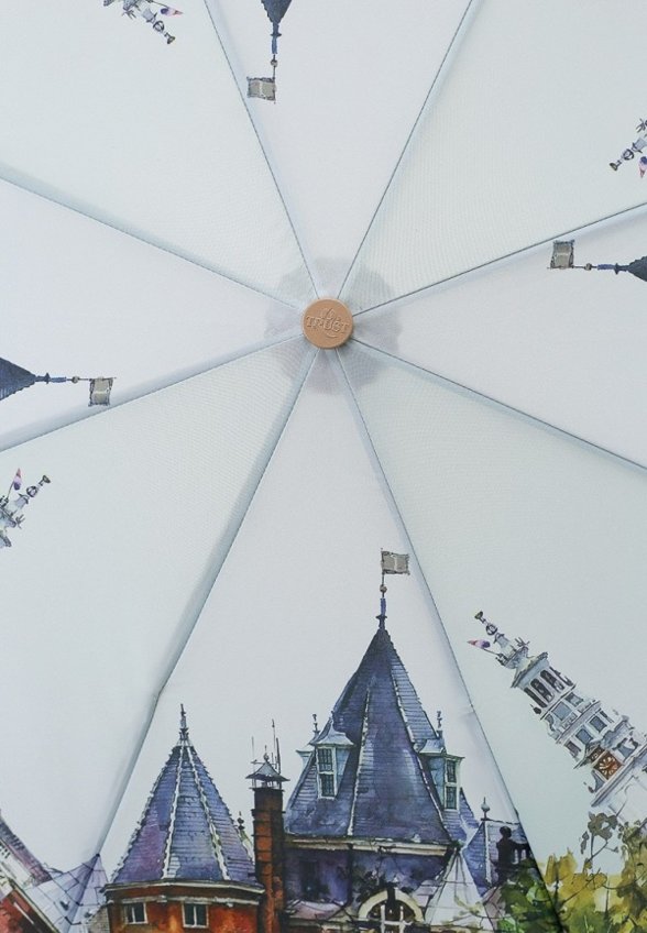 Зонт складной Trust