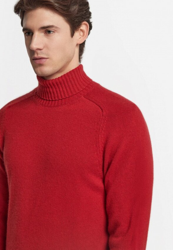 Водолазка Falconeri