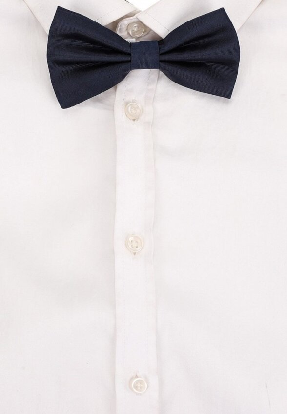 Бабочка Henderson